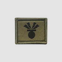 Function badge - gunner (DCA)