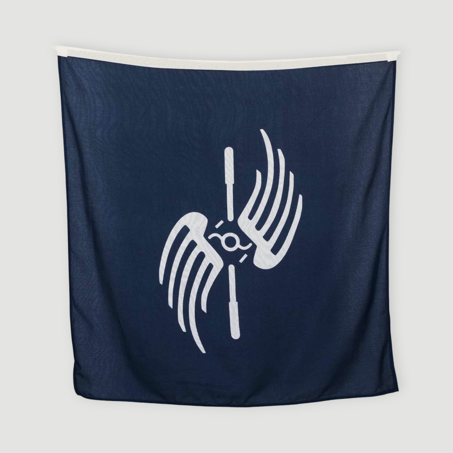 Air Force - Flag