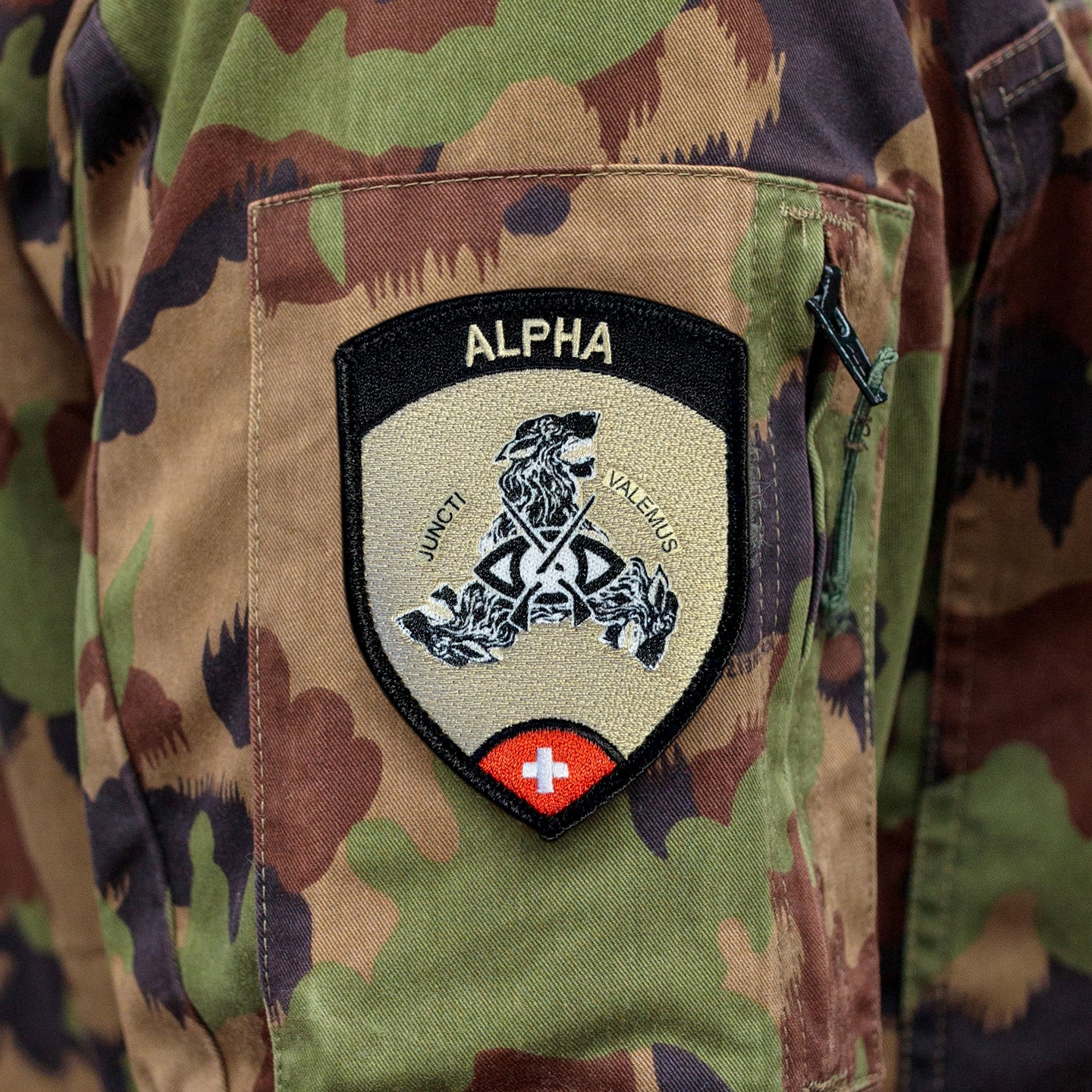 Badge Alpha - Ecole de chars 21 - Thun - Compagnie de sureté
