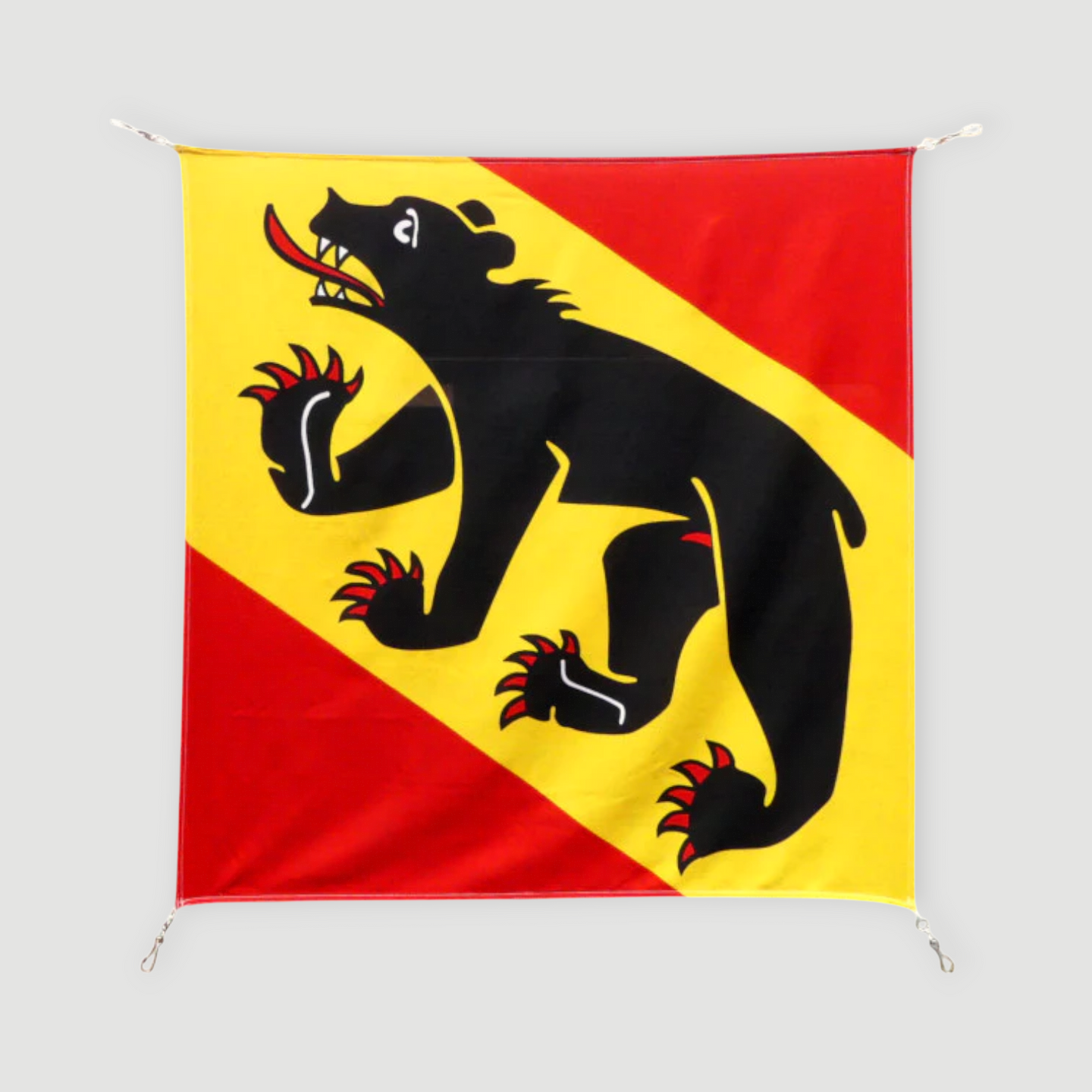 Drapeau Canton - Bern