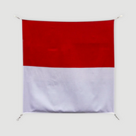 Drapeau Canton - Solothurn