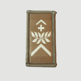 Insignes de grade olive/blanc - Collection