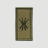Weapon/troop badge - Command assistance troops