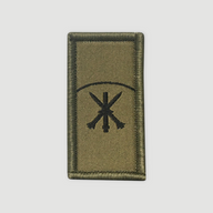 Weapon/troop badge - Aircraft defense troops