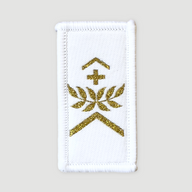 Insignes de grade - Cuisinier - Blanc/Or